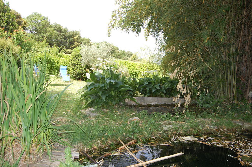 Gite Le Gre Chantemerle-les-Grignan Bagian luar foto